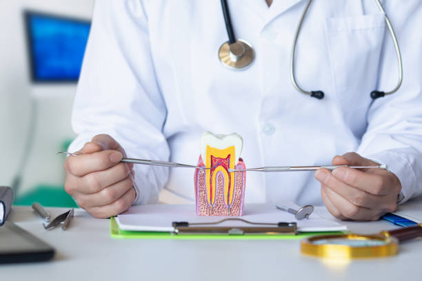 Best Walk-In Emergency Dentist in Findlay, OH